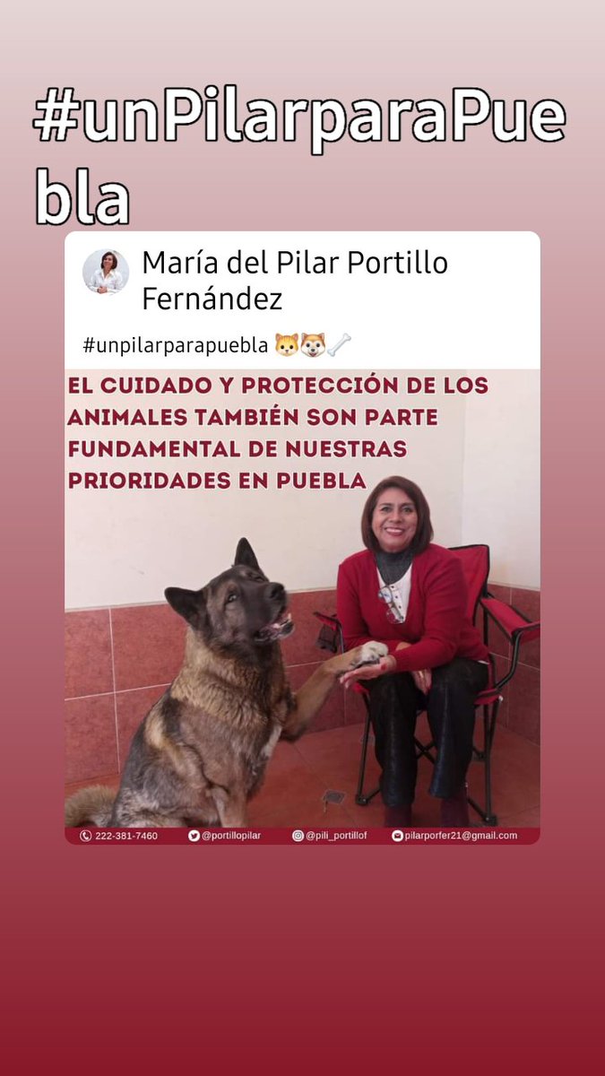Lo que el municipio de Puebla necesita es un pilar de honradez, conocimiento y experiencia, pero sobre todo de Amor A Puebla.