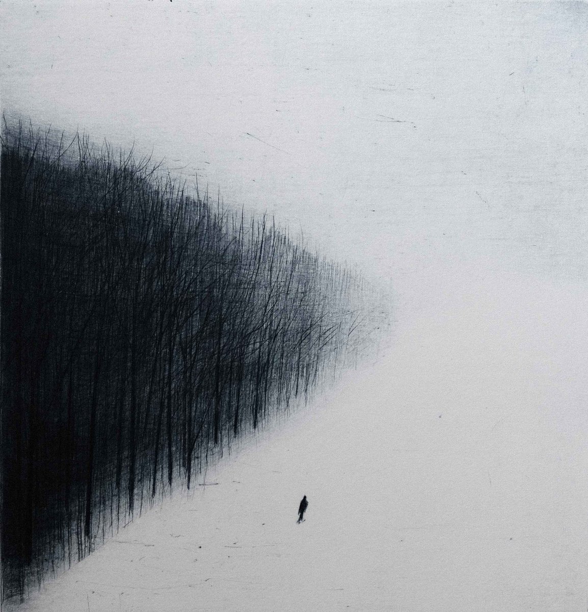 Katja Lang
The Forest