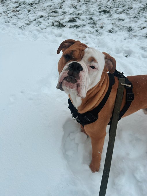 Watch Skylar🤍🤍's leaked NSFW photo on TwXstars