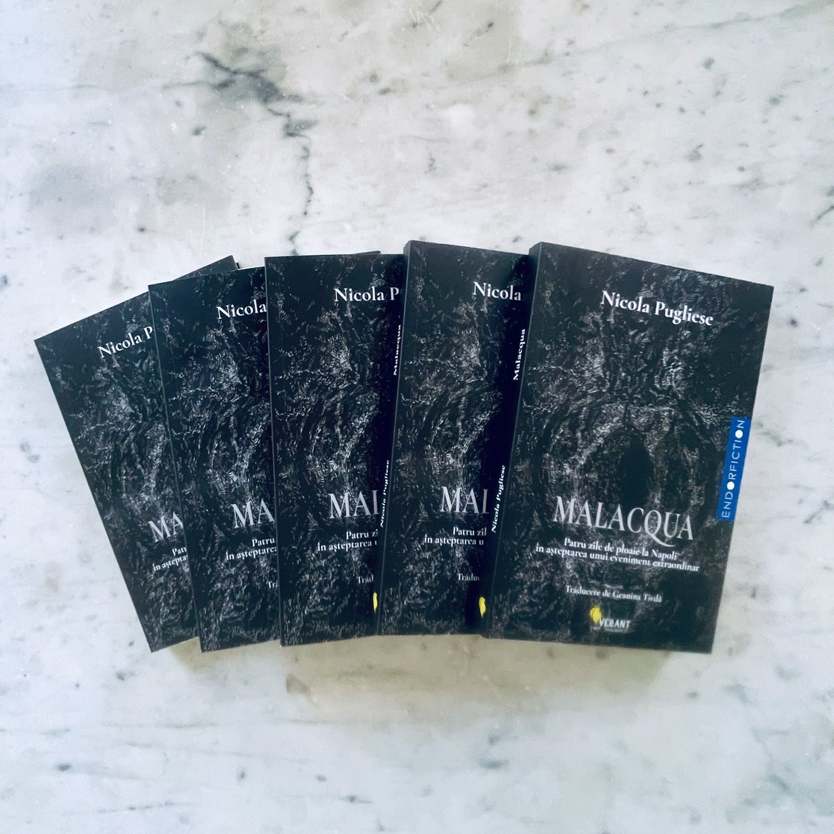 Just landed 🚀 Malacqua by Nicola Pugliese in Romanian
Thank you @edituravellant
