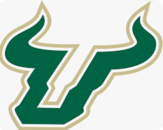 AlbertPlain_'s tweet photo. Blessed to receive my first Offer From The University Of South Florida💚🤍#gobulls🤟#agtg✝️ @adamgorney @ChadSimmons_ @USFFootball @FrostproofF @polk_way @DylanOliver23 @Andrew_Ivins @H2_Recruiting https://t.co/39CHHSJvyd