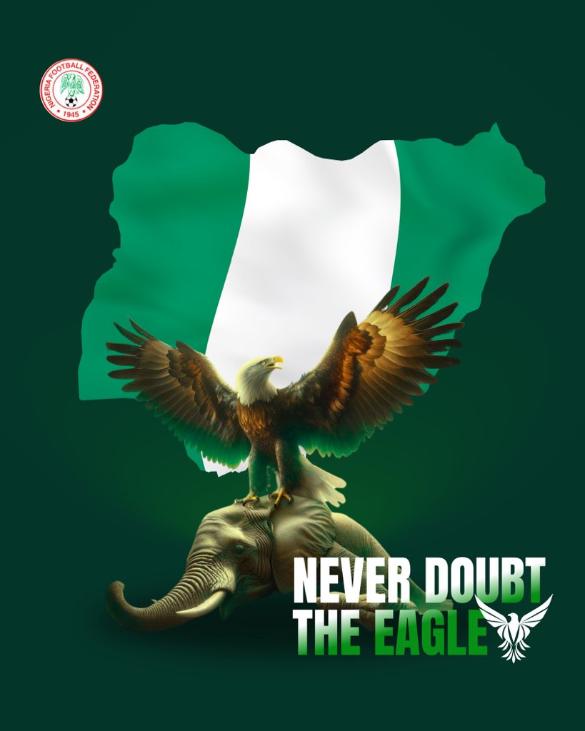 Never doubt the super eagles 🦅 🇳🇬 #soarsupereagles #letsdoitagain #ourafcon #afcon2023 #africanfootball