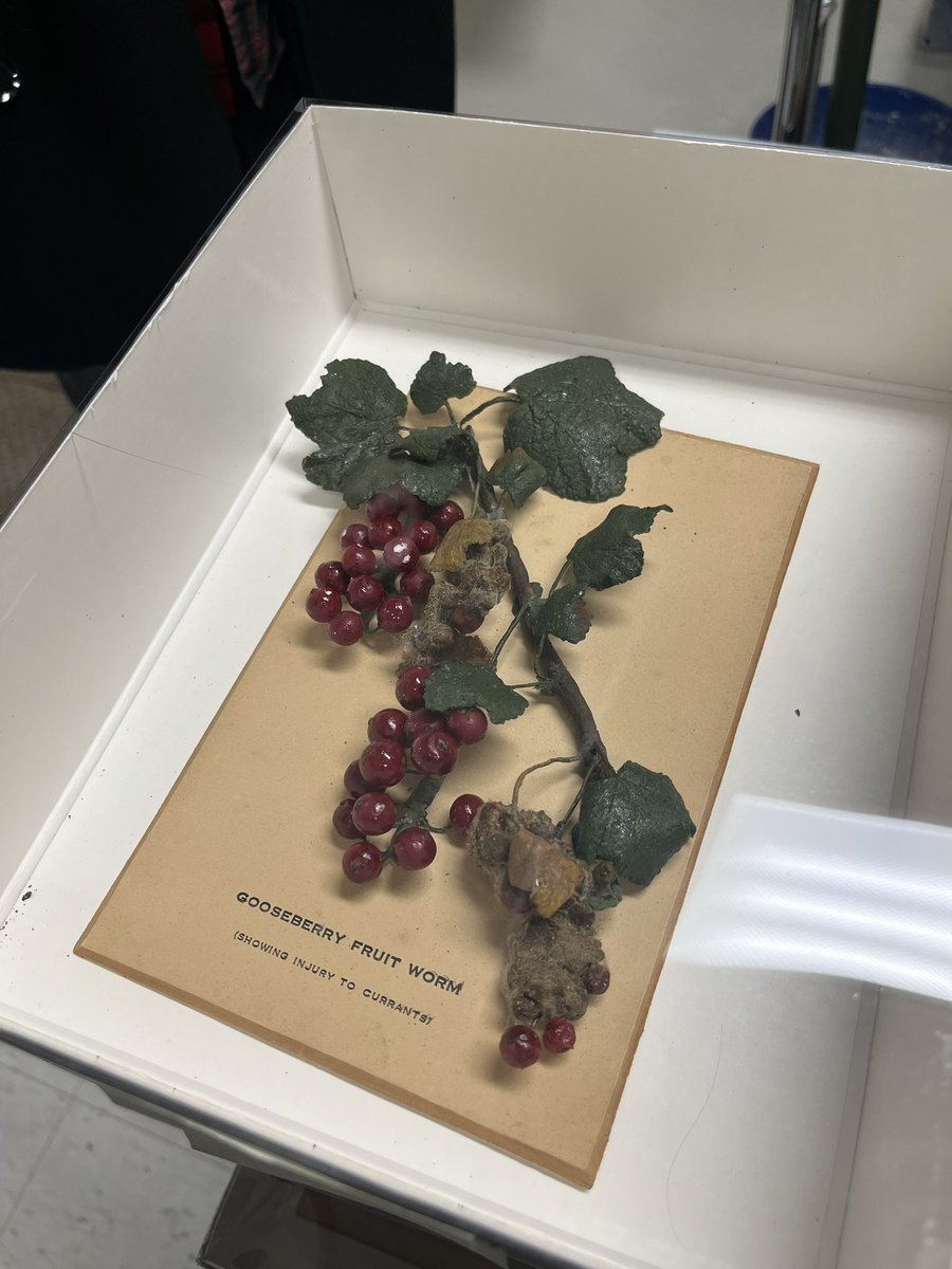 Simon Ingall tweet media