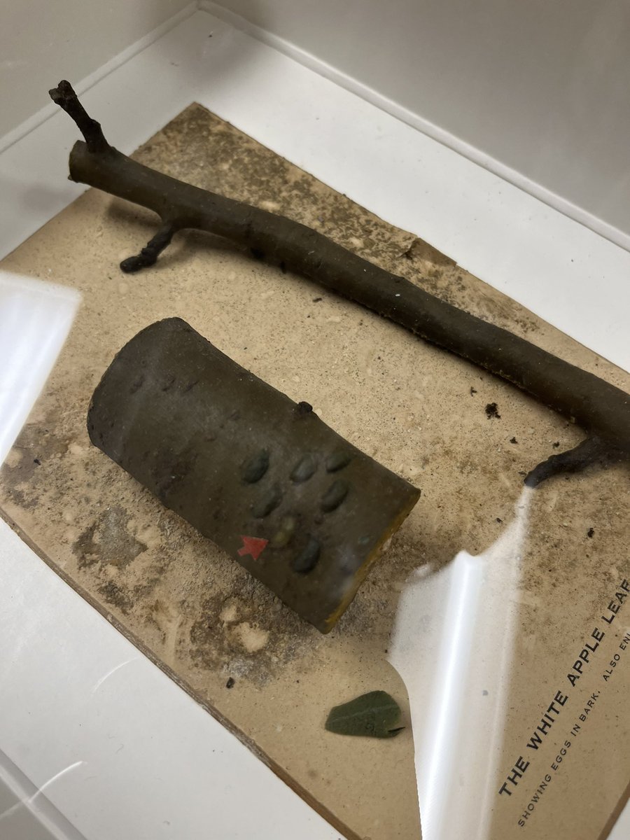 Simon Ingall tweet media