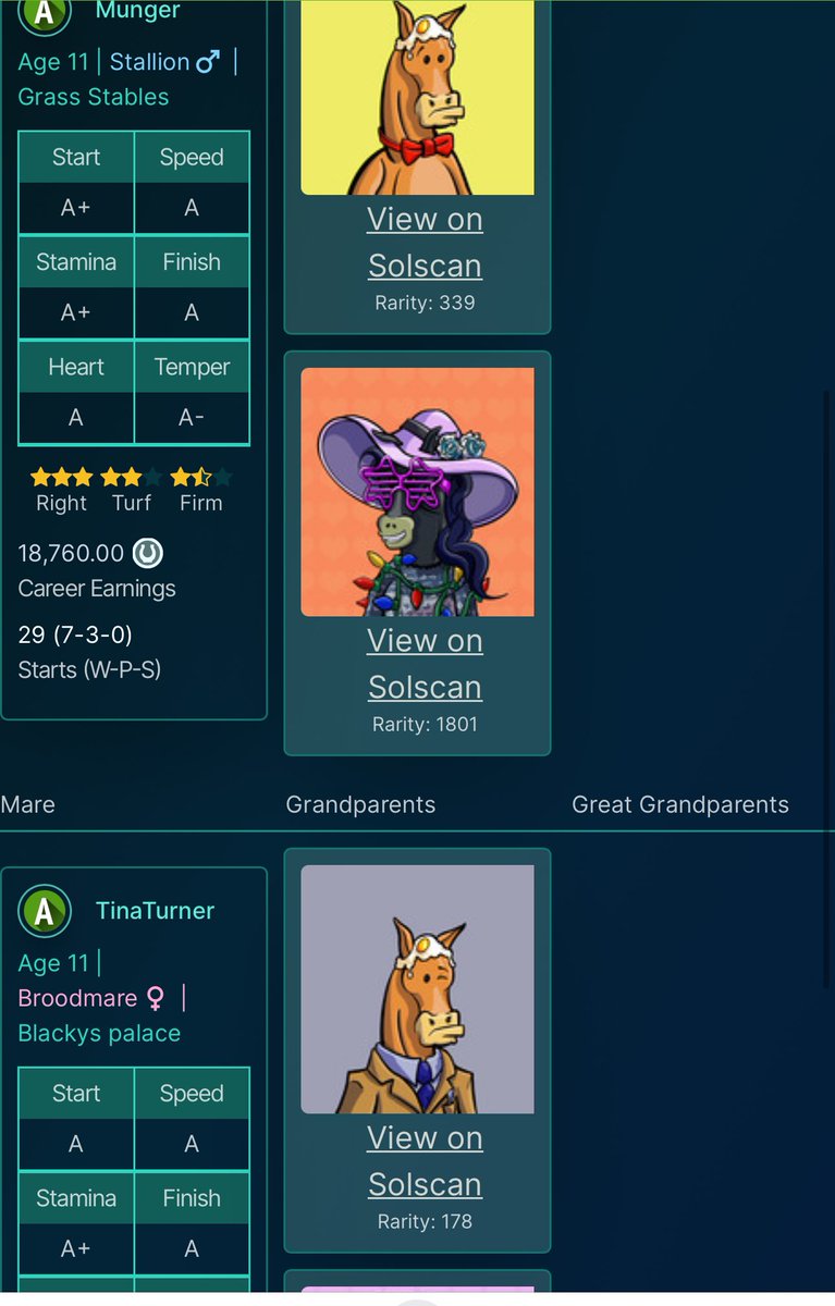 Following <a href="/YSM_Racing/">YSM Racing Club 🌹🌹🌹🌹</a> lead will also give away a horse in the <a href="/photofinishgame/">Photo Finish™ LIVE 🐎 Virtual Horse Racing</a> ! 

Foal of Tina Turner is a non 1/1 A+ colt who can race next season! Bred from 2 A horses should be a great racer. 

Like and reply to this tweet to enter. Will run duck boat race for winner in 24hrs