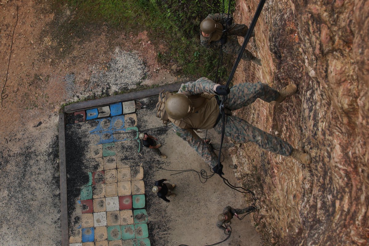 #Marines with @3d_Marine_Div conduct the Basic Jungle Skills Course (BJSC) at the Jungle Warfare Training Center on Camp Gonsalves, Okinawa, Japan, Jan. 9. BJSC teaches Marines basic jungle survival skills, tactical rope suspension techniques, and jungle warfare tactics. #USMC