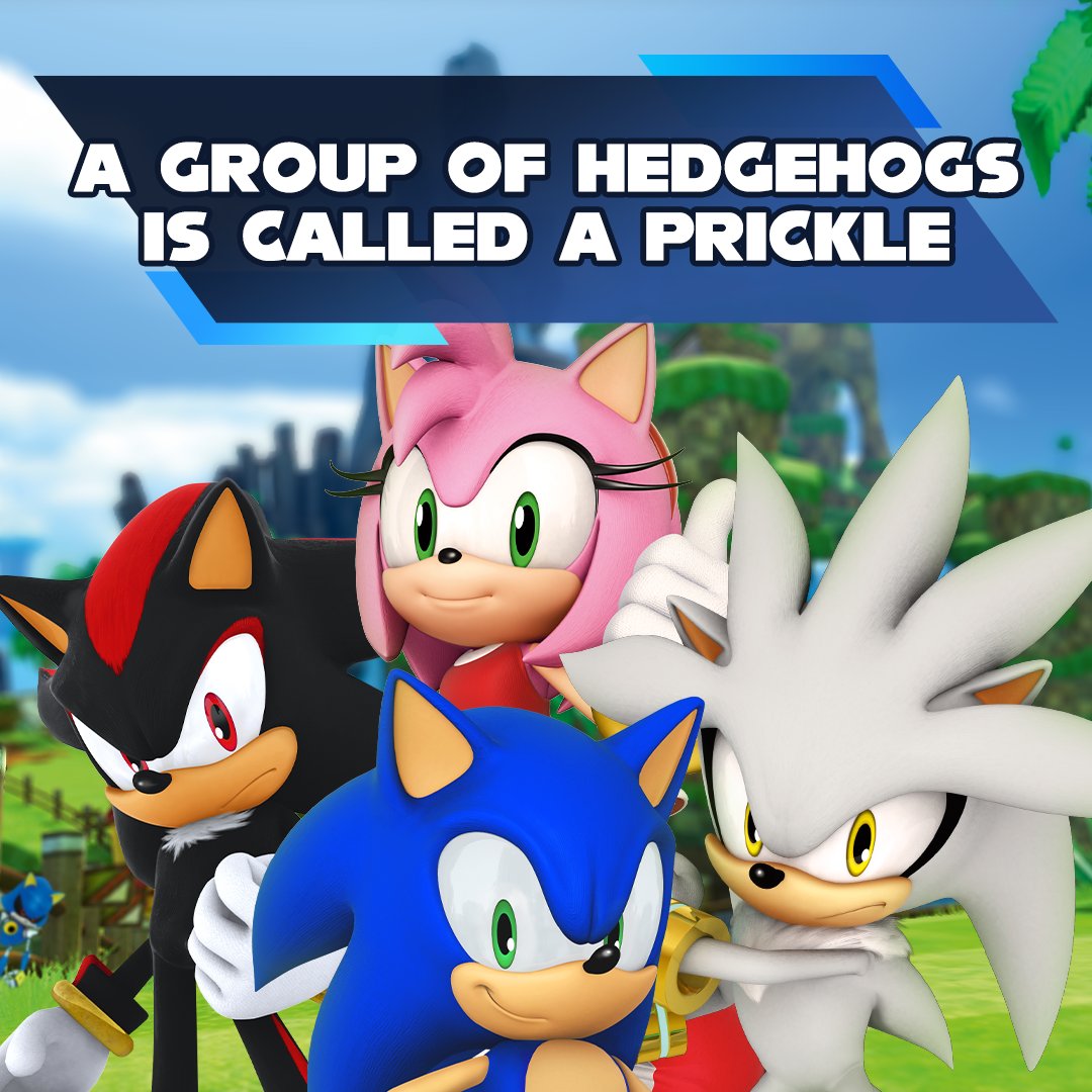 Truly, a prickle in Eggman's side.