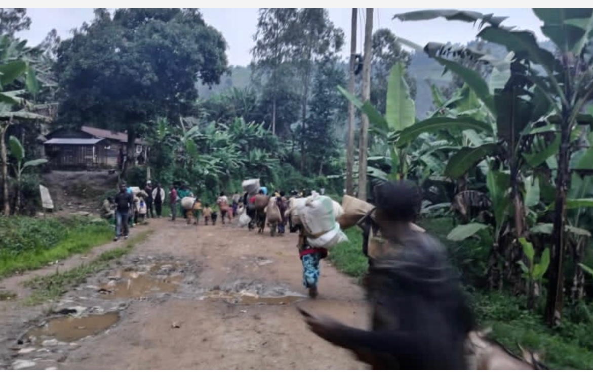 CongoHandicap's tweet photo. Kalehe :des affrontements signalés entre deux groupes armés Wazalendo sur l’axe Lushebere-Nyamukubi
Actuellement ns pouvons enregistrer deux blessés provisoirement au côté de la pop,ds ces villages où les habitants sont entrain de se vider vers Manga dans le Mbinga-Sud Sud
#Sourc https://t.co/4juCBD29c1
