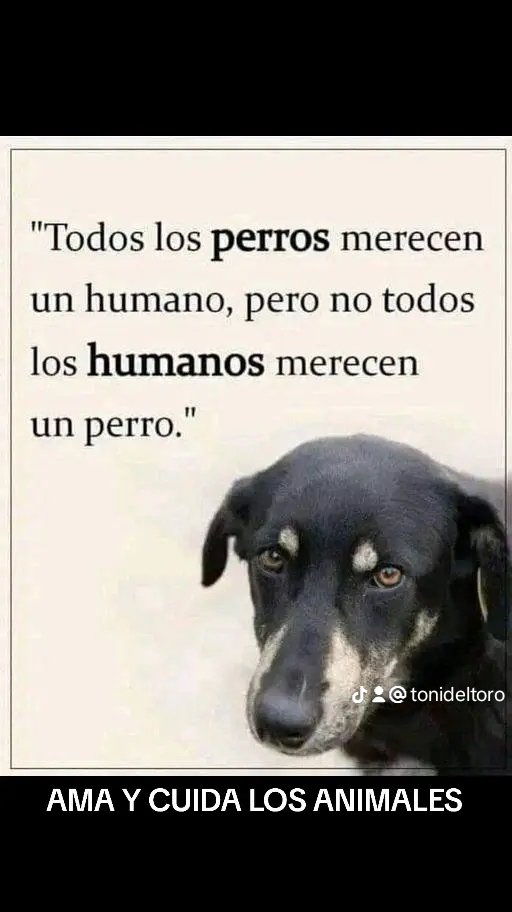 ESTAS DE ACUERDO CONMIGO??