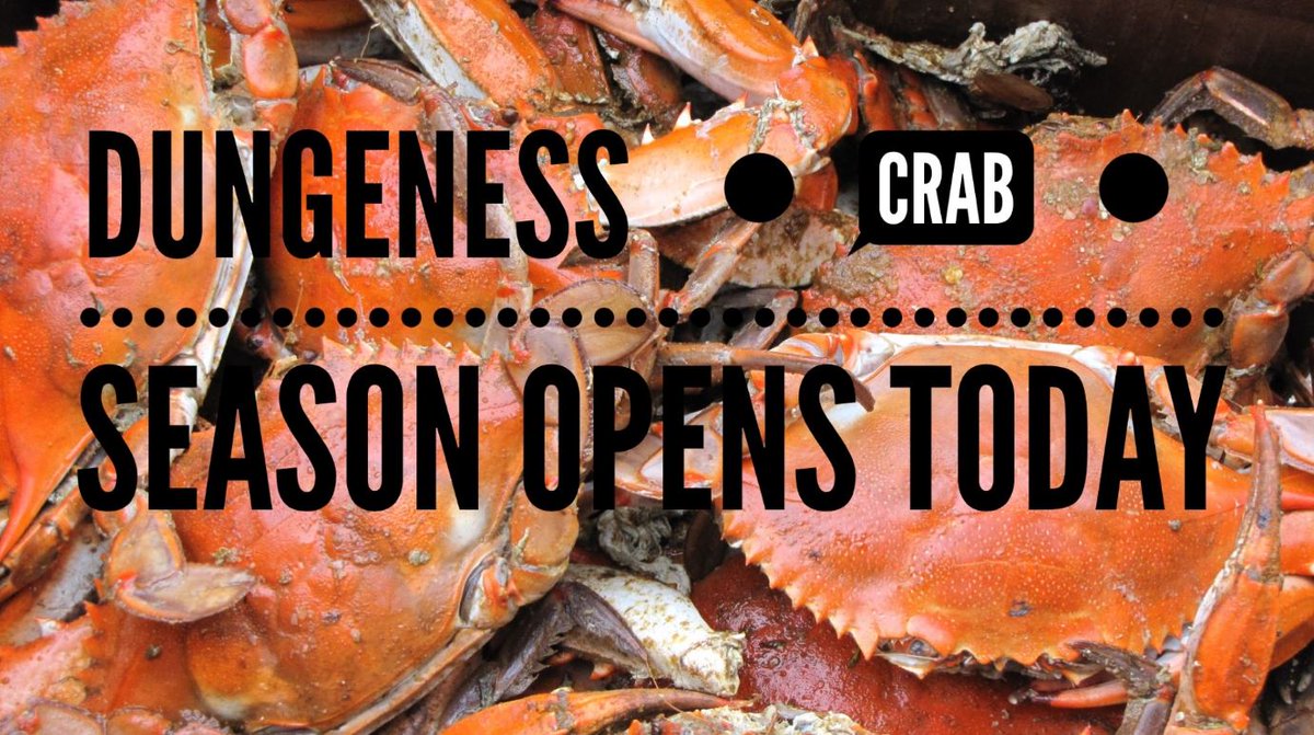 Dungeness Crab Season officially opens today! And if a state assemblymember has his way, the Dungeness crab may become California’s state crustacean. ow.ly/5EQt50QsbMR