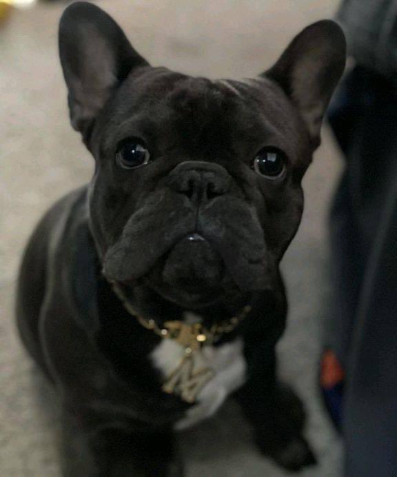 Big boy