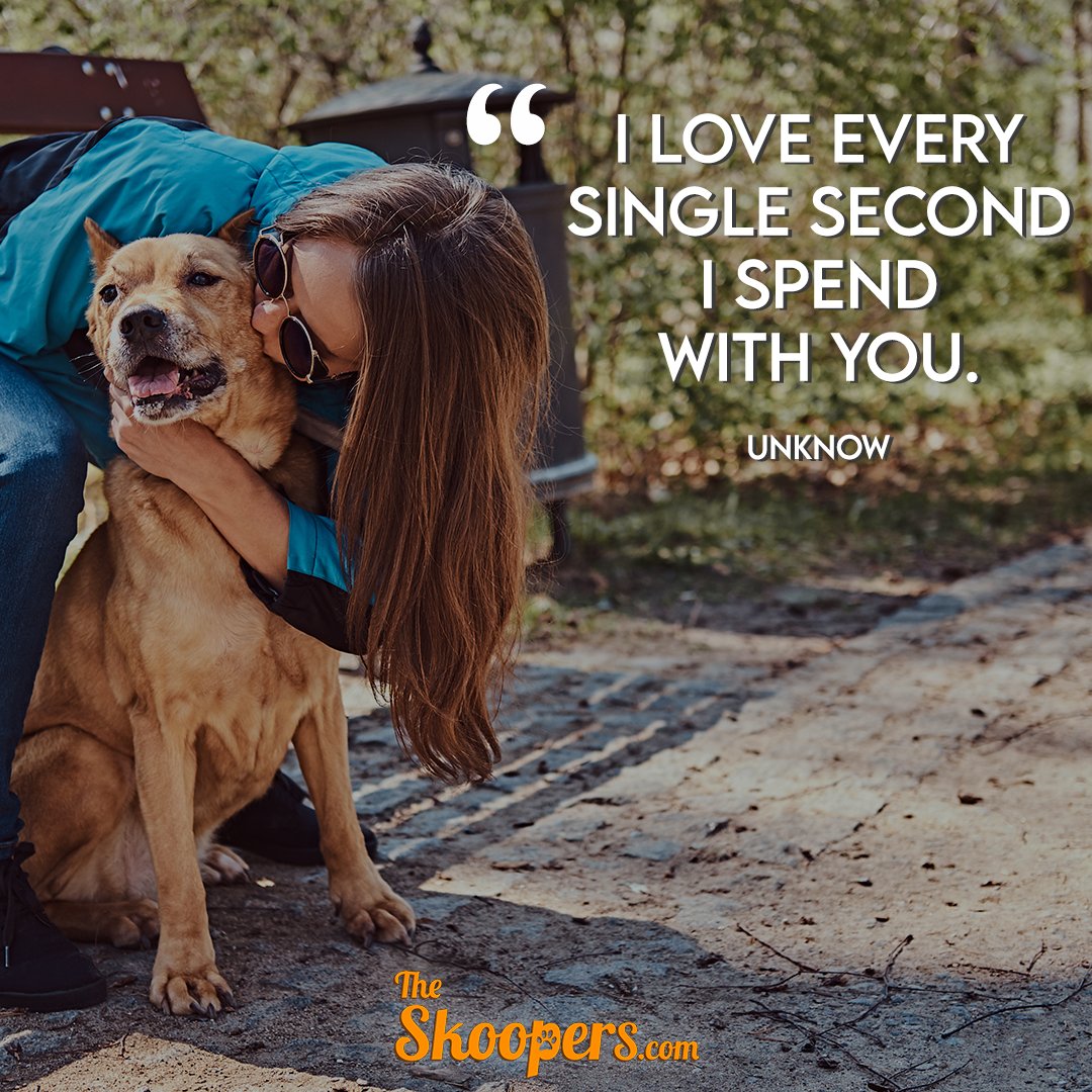 As we are aware that they are a member of the family, we are able to assist in their care. Obtain a Free Estimate Now! theskoopers.com
. 
.
.
.
.
#theskoopers #dog #dogmother #dogowner #doglife #happyday #happydog