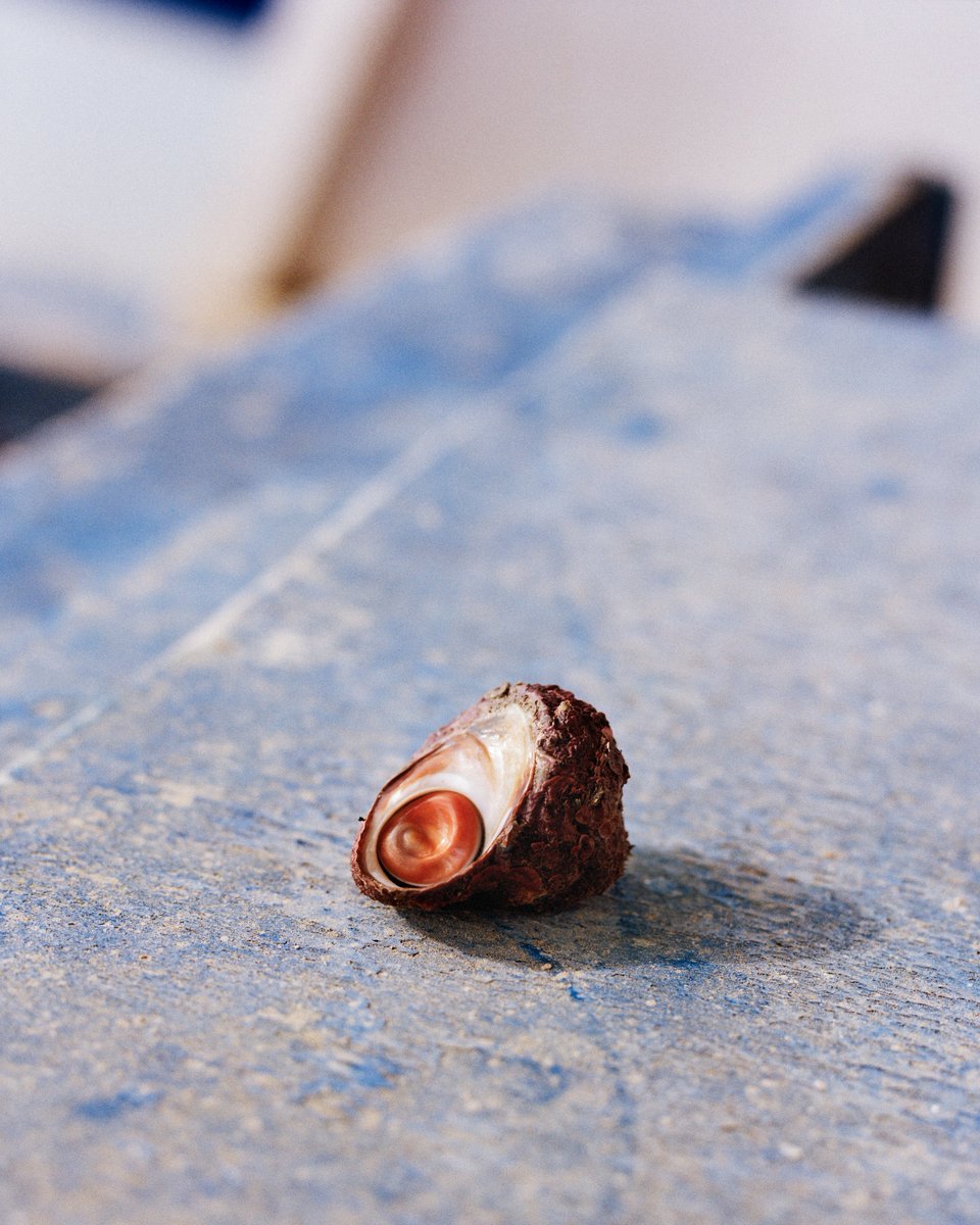 Valentino Bellini tweet media