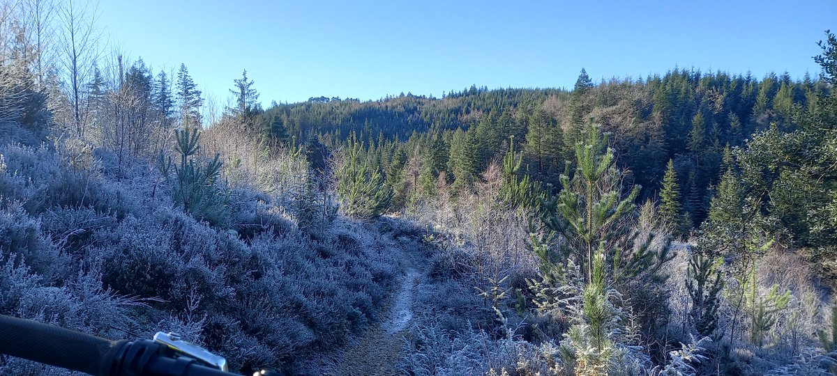 Roedd hi'n mor brydferth yn Nghoed y Brenin heddiw. Yn sych ac yn oer ac yn heulog iawn iawn.

Perffaith am reid!

#CoedyBrenin #CymruAmByth #honydypam