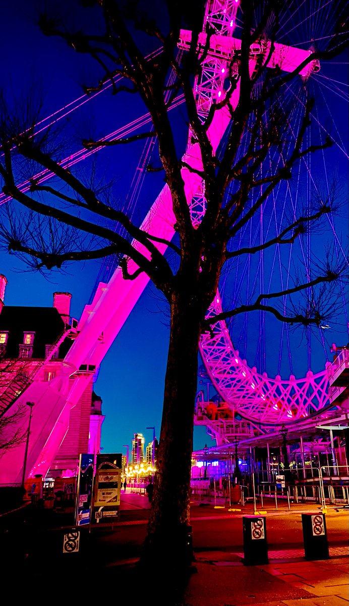 London Eye Tree 🌳 #TodaysTopTree @TheLondonEye