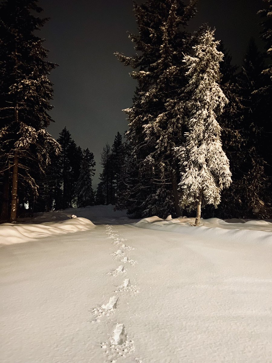 sergeantworm's tweet image. The beautiful things in this world often bite!  In the same spirit, nothing that is good is free. To find real value in something comes from hard work (physically and mentally). In this case, the winters are hard, but managing the winter makes spring and summer simply fantastic!