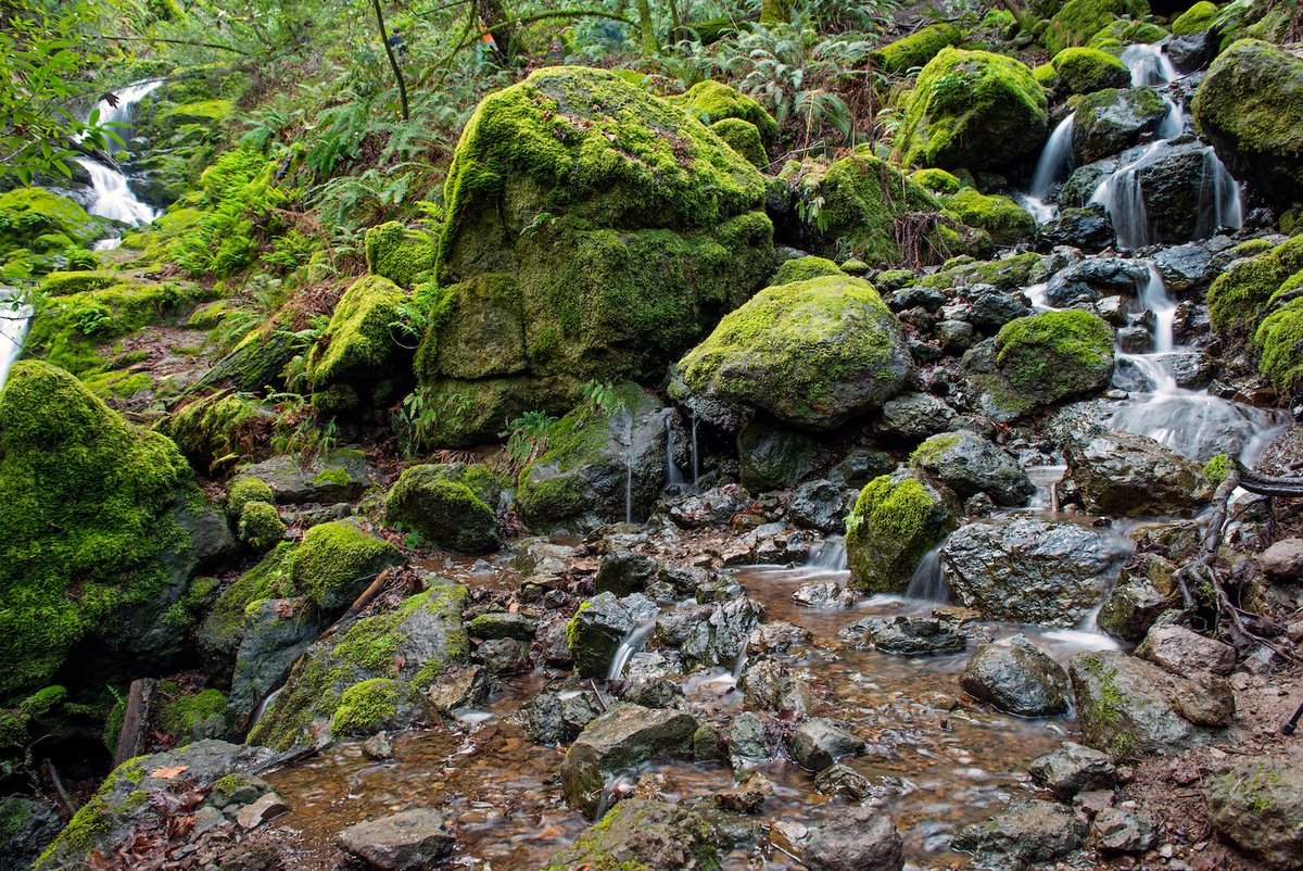 lancekuehne's tweet photo. Runoff - February, 2020 - My next workshop is full, but I have space in my Mt Tamalpais workshop in a little over two weeks. Usually we photograph grand vistas, but occasionally we will do a short hike and photograph places like this. #photography #landscapephotography  #marin https://t.co/hwP84S0o5x