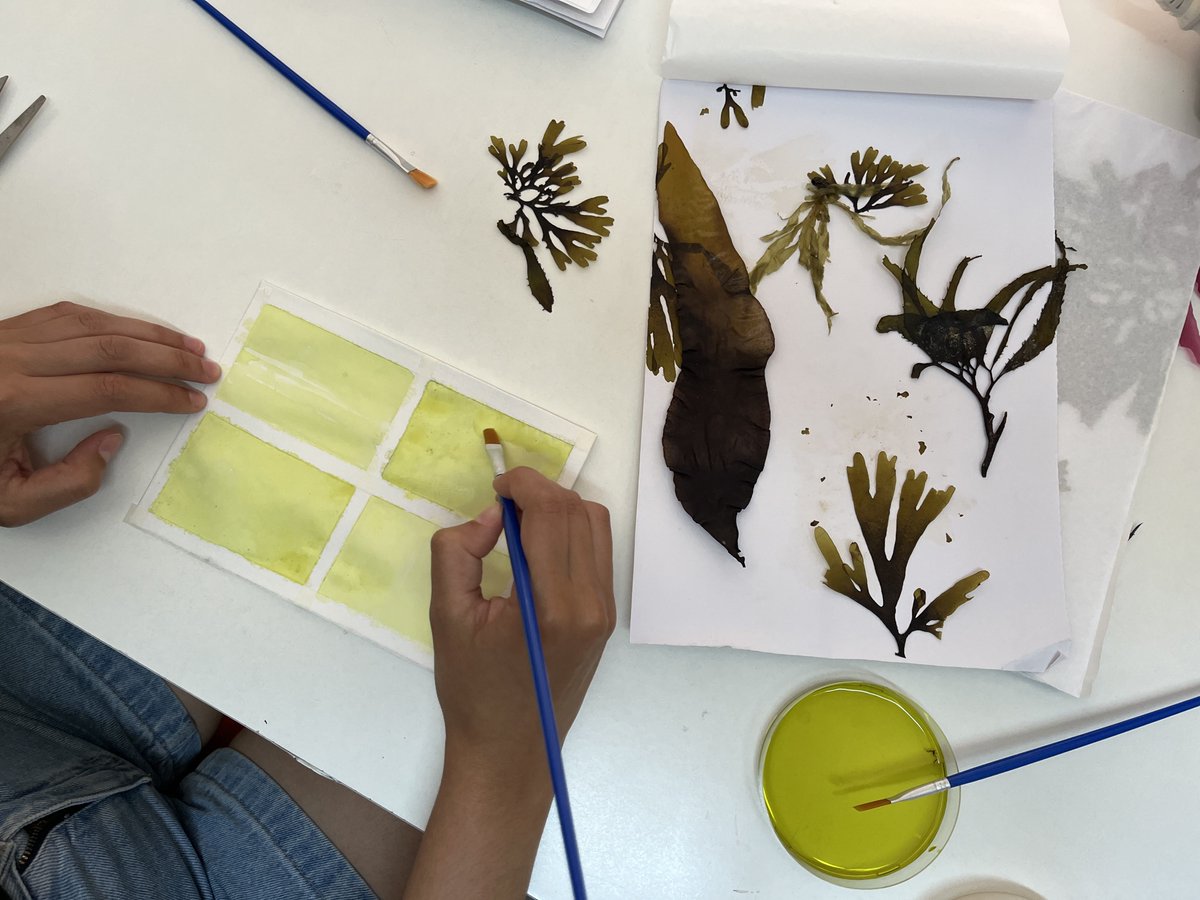 AlgaLab's tweet photo. Hoy, guiados por nuestra profesora @viwanaiguana 😄, desarrollamos un taller de #Cianotipia para los y las integrantes de nuestro laboratorio!!
Vamos conociendo y aprendiendo esta técnica que produce impresiones (copia negativa) de color azul🖼️
Se vienen cositas☺️!
#ArteAlgas https://t.co/T8OaCZtYBZ
