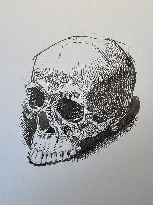 「skull」 illustration images(Latest｜RT&Fav:50)｜5pages