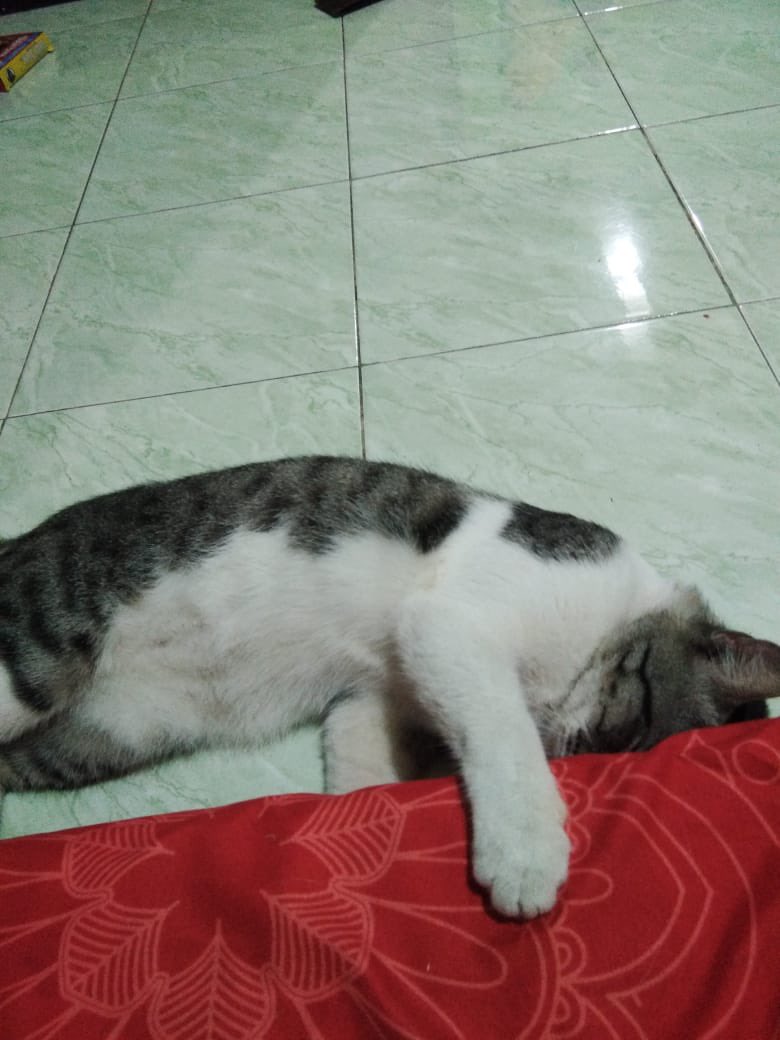 Kok kangen glendoh ujug”