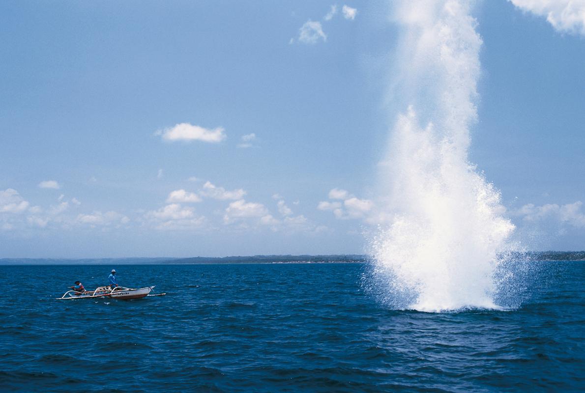 That's good news. Blast fishing using dynamite was a deadly problem 10years ago in East Africa. It sends dead fish floating to the surface for an easy catch but destroys all other sea life and environment. 5year prison terms (12months for possessing explosives) have been helpful.