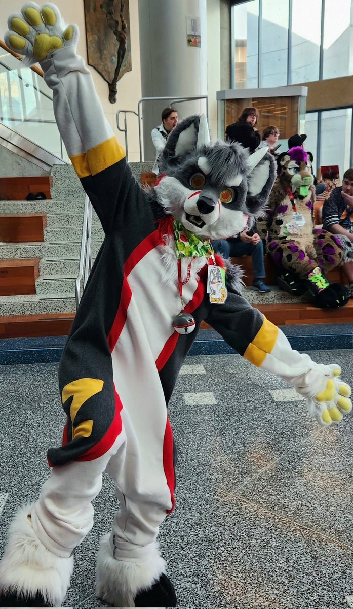 Look at this adorable bean I met at FC. <a href="/MOSFETbah/">MOSFET</a> you are literally the G.O.A.T. 🐐❤️❤️❤️❤️

#furry #furryfandom #FC2024 #GOAT