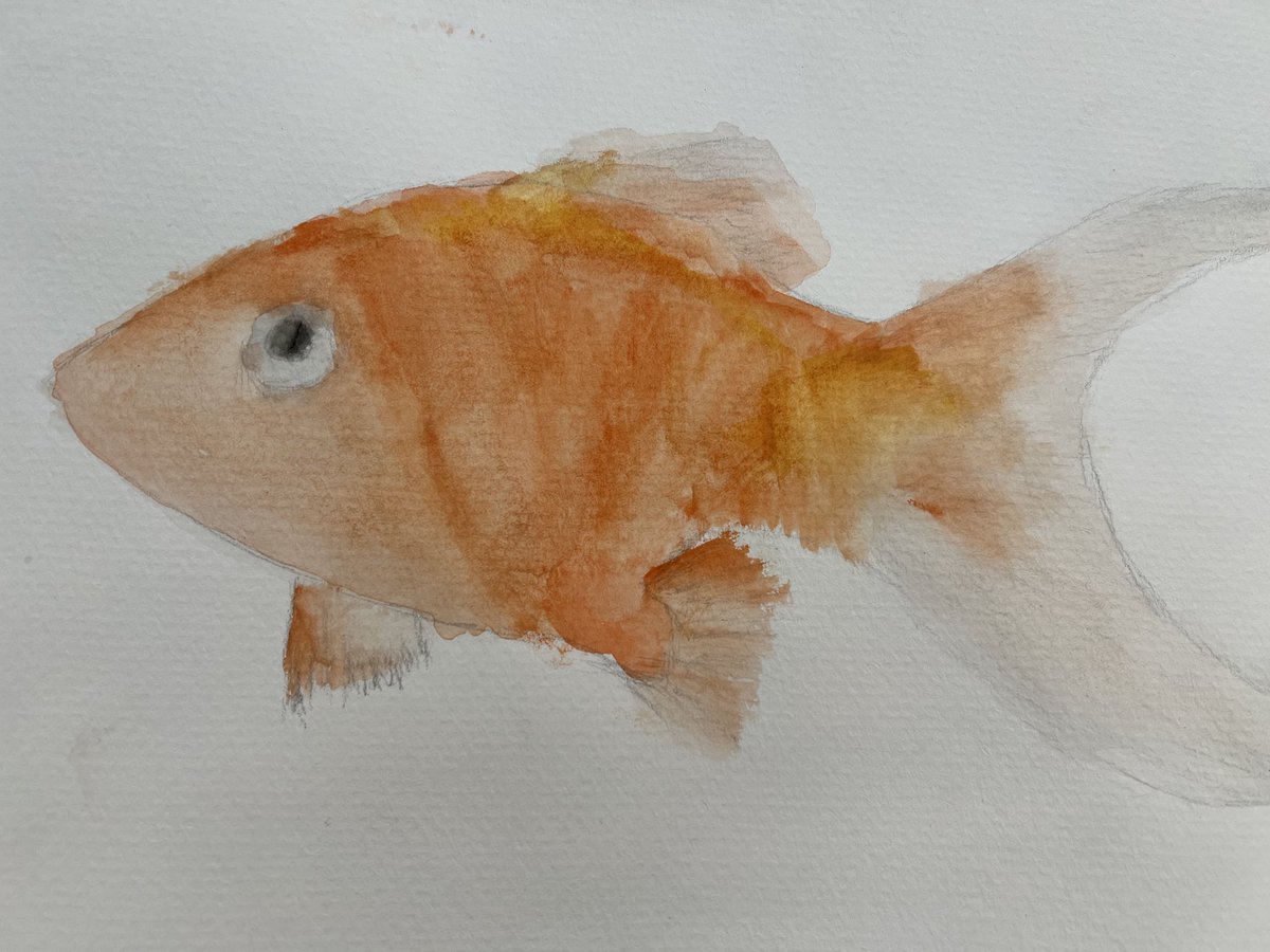 The Gr 6 watercolour 'painting our pets' project reflects how students took risks with a difficult technique to create these special works! ⁦<a href="/HTSRichmondHill/">HTS Richmond Hill</a>⁩ ⁦@pereira_rasoHTS⁩ ⁦<a href="/trayc4teach/">𝕋𝕣𝕒𝕔𝕪 𝔽𝕒𝕦𝕔𝕙𝕖𝕣 (she/her)</a>⁩