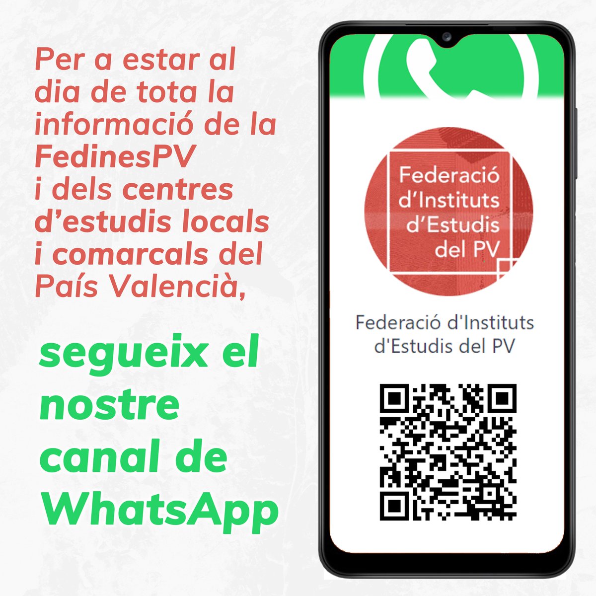 Federació d'Instituts d'Estudis del PV tweet media