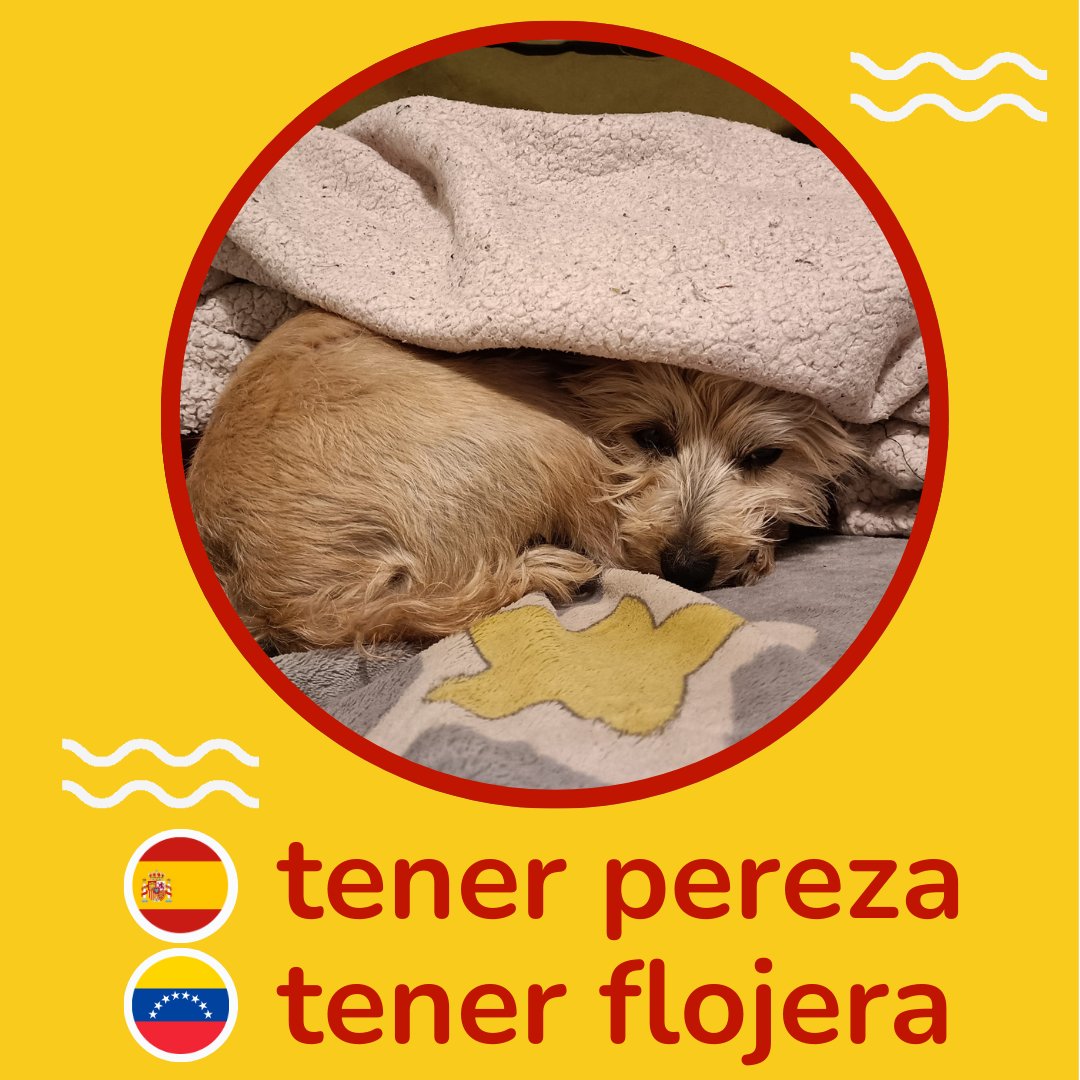 ¿tener flojera o tener pereza?

🇫🇷 en français est “je suis paresseux/paresseuse” mais peut-être il y a d'autres expressions aussi.
🇳🇱🇧🇪 in het Nederlands zeggen we "ik ben lui"
🇬🇧 in English we say “I’m lazy”.

how do you say it in your target language?

#langtwt <a href="/Kenny_DB1983/">something polyglot 🇪🇺🇧🇪🏳️‍🌈</a>
