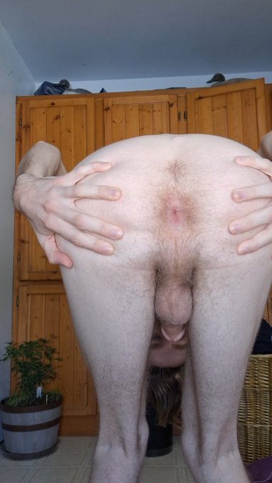 Do you like my tight little ass waxed or hairy? #gayporn #pansexual #Anal https://t.co/g2urKGT2al<a href="/tag/anal"class="tags"><span>#anal</span></a><a href="/tag/pansexual"class="tags"><span>#pansexual</span></a><a href="/tag/gayporn"class="tags"><span>#gayporn</span></a>