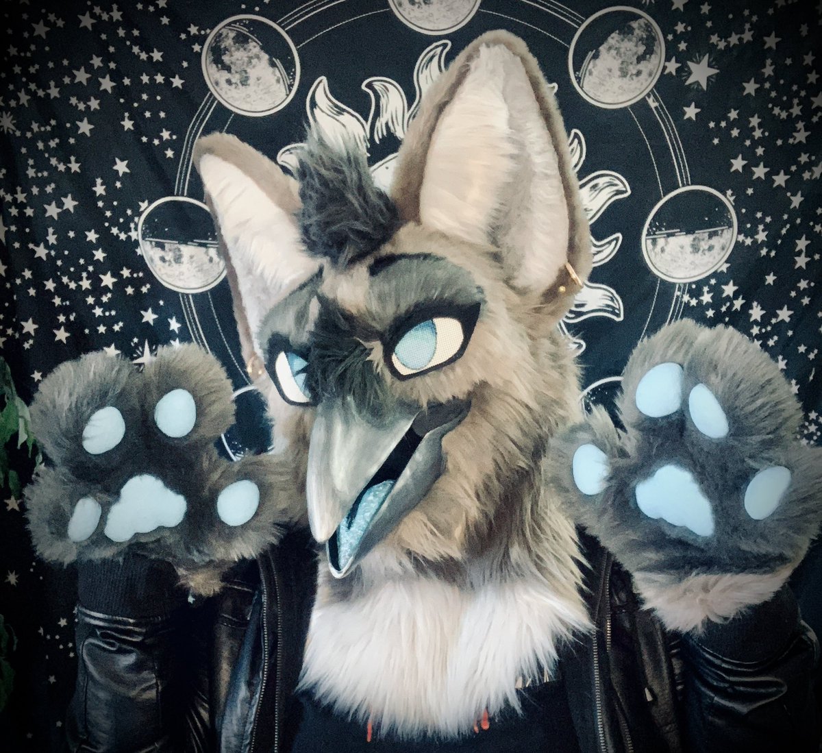 icepaw2121's tweet photo. 🩵🩶Hello!🩶🩵

My name is Icepaw and I’m an artist and fursuiter! 

Check out other links and commission info here: https://t.co/FD4aQuwb5J https://t.co/082gLeVHU0