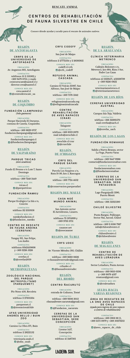 Susana Quezada Güenante tweet media