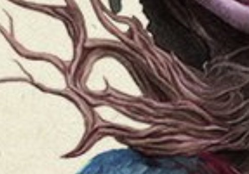 Ethan Taylor 🧌 tweet media