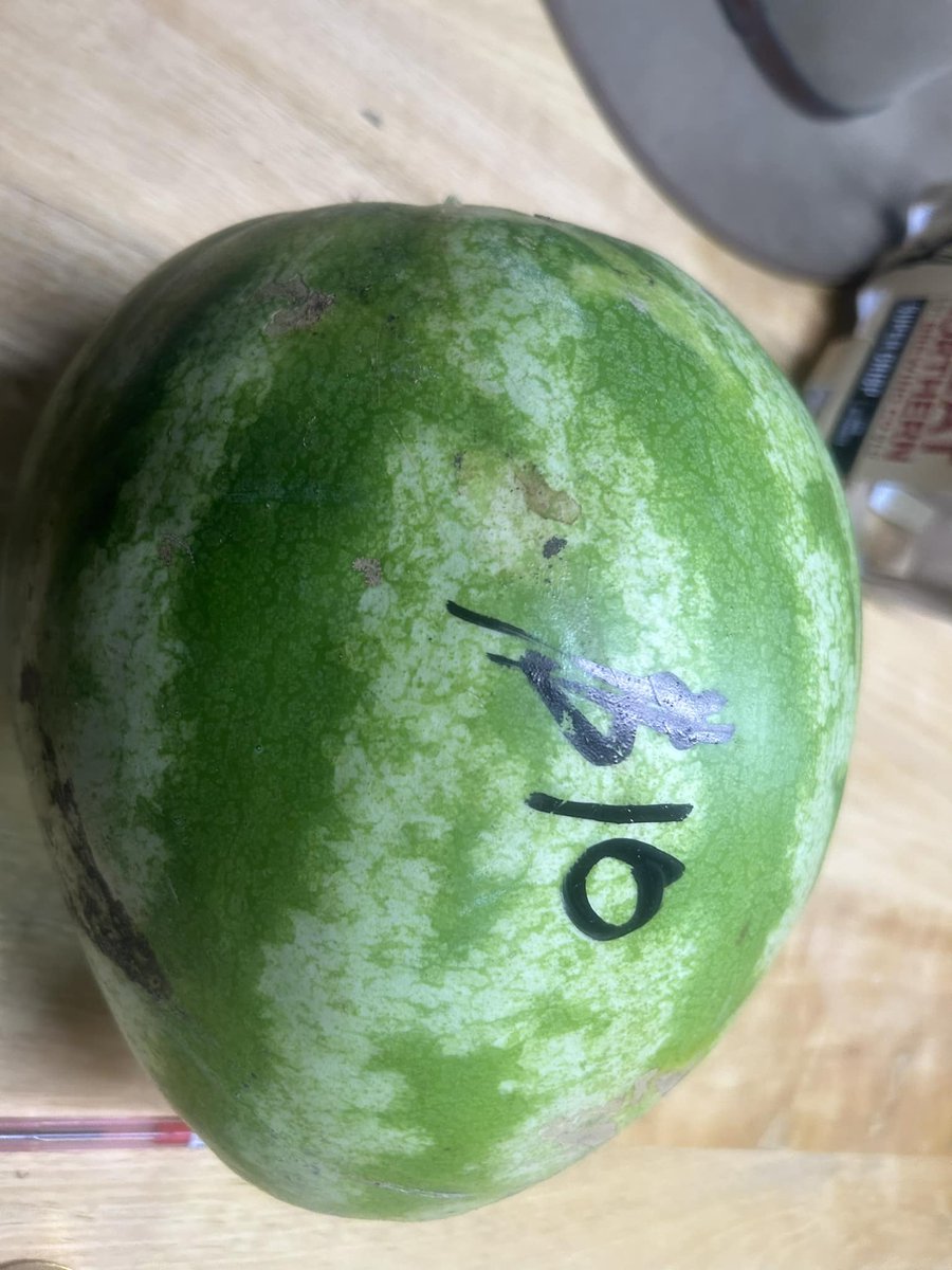 A Queensland farmer is selling this 7kg watermelon by the side of the road for $10, because he can’t afford to sell it for the $4 he was offered by the supermarkets.

At the checkout, people are paying close to $20.