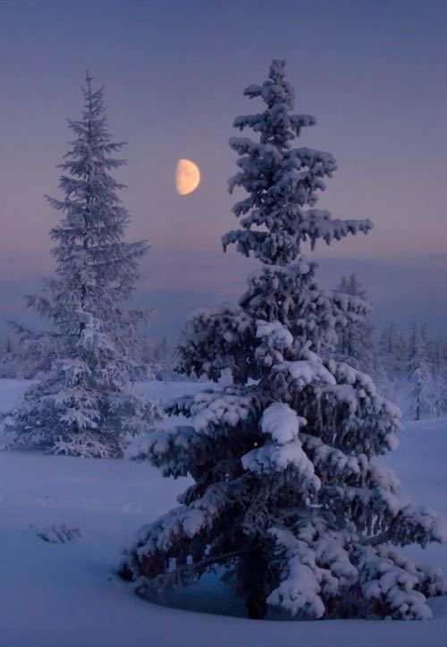 I send you all peace🕊️

Goodnight ~
Till the morning light✨🌙
By Sergei Vagaev 📷