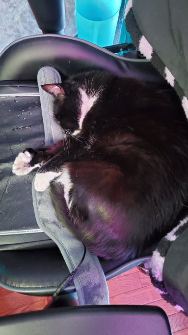 Fellow gays, please suggest affordable Gaming Chairs that i can sit in pretzel legged comfortably! I<a href="/tag/vtuber"class="tags"><span>#vtuber</span></a><a href="/tag/live2d"class="tags"><span>#live2d</span></a><a href="/tag/dndart"class="tags"><span>#dndart</span></a>