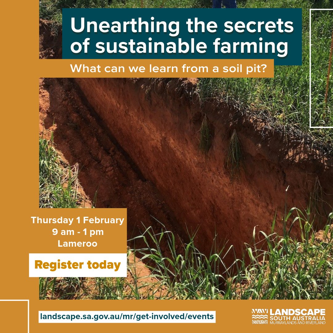 Join our Soil Extension Officer in exploring the depth of knowledge buried beneath the surface. You’ll learn how a soil pit can be used to better understand the health of your soil and help inform future management decisions. landscape.sa.gov.au/mr/events/unea…