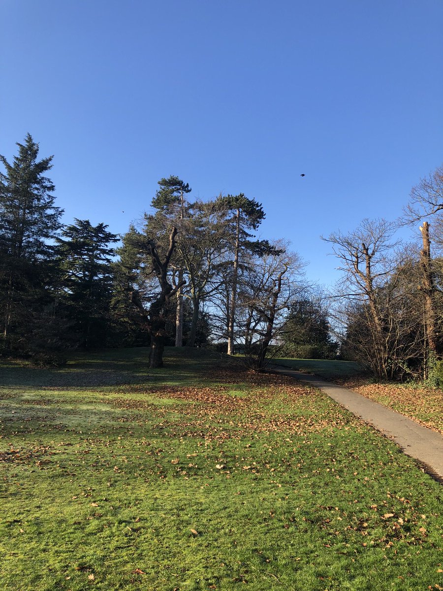 The report from our recent guided walk around Lamorbey park has now been published on our website, link below: #sidcup #bexley group.rspb.org.uk/bexley/news-bl…