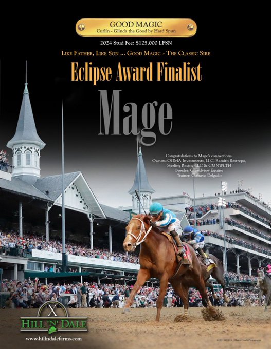 Eclipse Award Winners Run in MAGE's Family. His Grandsire, CURLIN, Won Horse of the Year Twice (2007, 2008), Three Year Old Male (2007), and Older Male (2008). His Damsire, BIG BROWN, also Won Three Year Old Male (2008). Congratulations to all 2023 Eclipse Award Finalists,