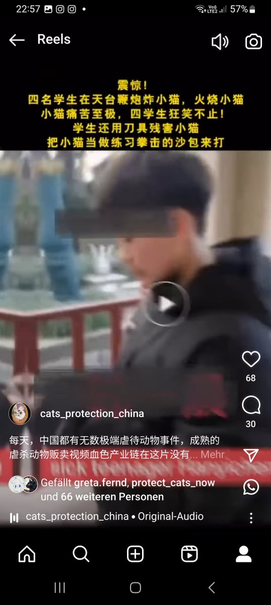 ArankaBisc79521's tweet photo. Cat abuser https://t.co/t056Jsq0gc