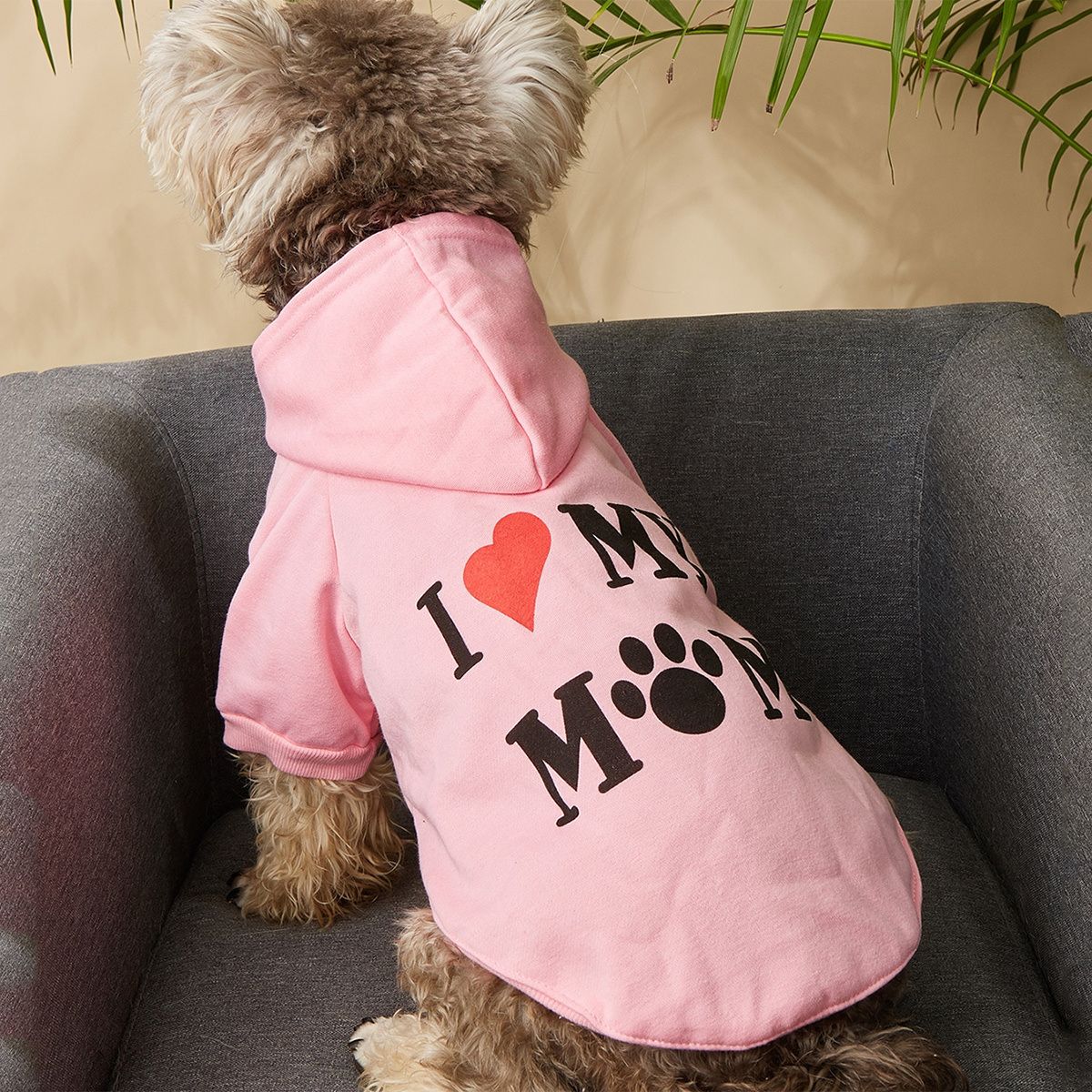 Burr, it's cold outside.  Just think how much more your dog will enjoy being outdoors in a warm coat or hoodie.  Pampermypuppies has a nice selection of outerwear perfect for this time of year.  #dogcoat,#wintergear,#doghoodie,#dogsweater