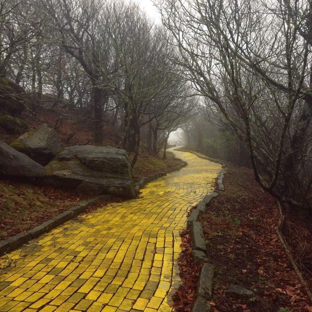 The 3rd photo on your phone is at the end of this yellow brick road!