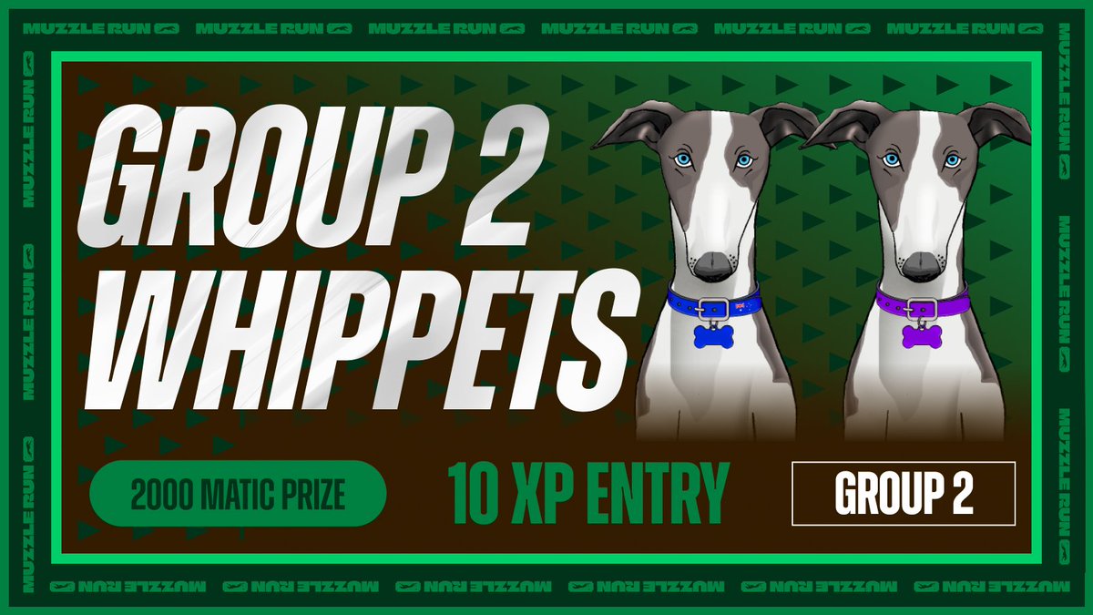 muzzle_run's tweet photo. 🐾🏆 Our January class-based Greyhound &amp; Whippet tournaments just dropped kicking off in a couple hours and running till the end of the month.

Featuring hefty Matic prizes. Every class has a run for just 10XP per entry. https://t.co/KuZQSHfNzx
