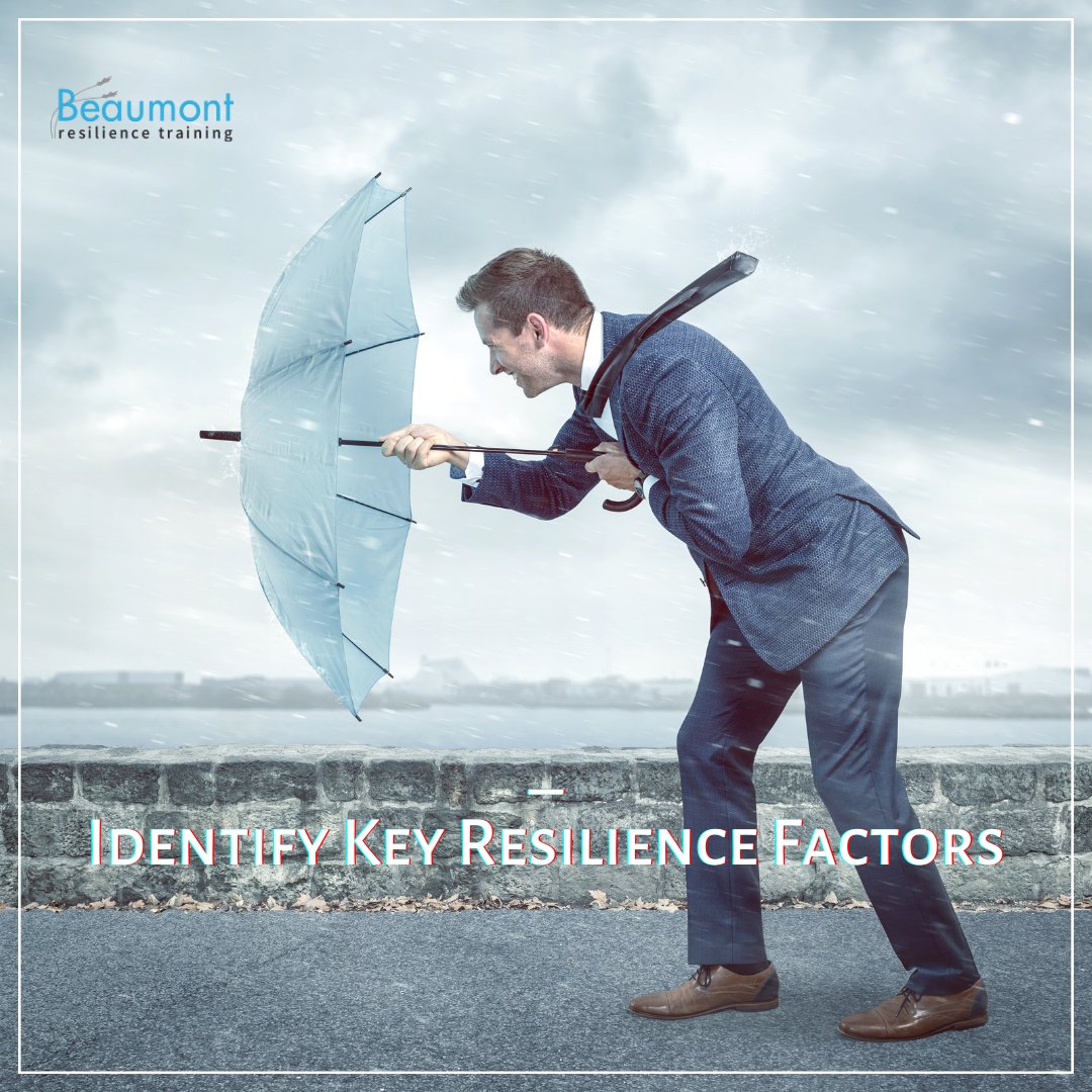 It's important to identify the key Resilience factors that are essential for your business. Once you’ve identified these factors, you can tailor your training program to address them effectively

Contact us for details

#BeaumontResilienceTraining #Leadership  #success #business
