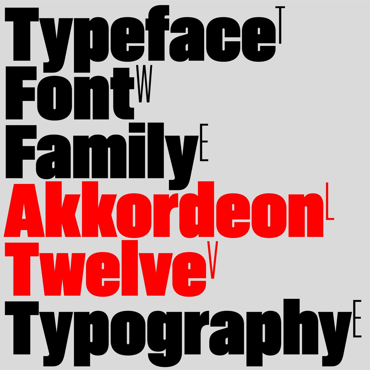 Akkordeon typeface 
(Free trials available)

emtype.net/fonts/akkordeon

#typeface #font #family #typography
#akkordeon #twelve