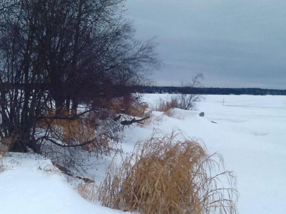 White Magic 
            And it is there 
In a monthful of winter awe. 
That magic and warmth, coexist✨
   ~ Clairel Estevez