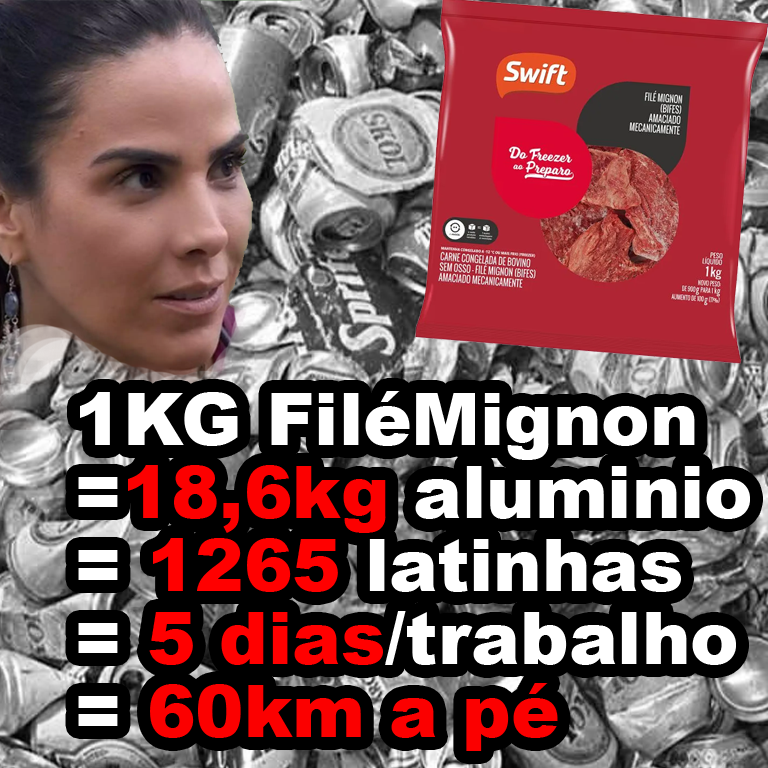 Me solidarizo com o sofrimento de <a href="/WanessaCamargo/">Wanessa Camargo</a>.

Como catadora, preciso juntar quase 19 kg de aluminio (1265 latas),o que é possível andando 60km (5 dias de reciclagem) para poder comprar um kg de filé mignon.

Lugar de fala que se diz, né?