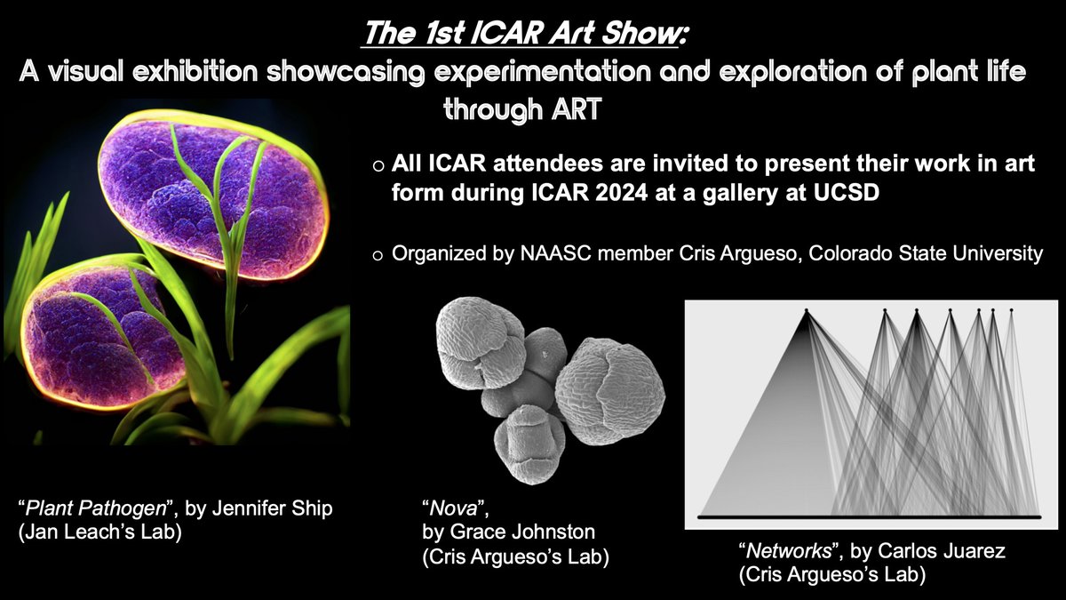 And NOW, I am organizing the 1st ICAR ART SHOW, a visual exhibition showcasing experimentation and exploration of plant life through artistic interpretation, at #ICAR2024SanDiego It's going to be beautiful! 
Join us! @NAASC_NA_ICAR 
3/3