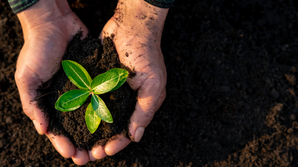 rsonenthal's tweet photo. Start cultivating great managers in your organization with these 5 key steps from the #CapitalH blog. https://t.co/b6JnTaCXmb https://t.co/HNOpYWabIw