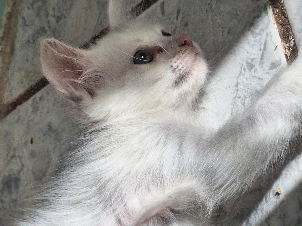 bu_bs_l's tweet image. Meu mundinho 🤍🤍🌿